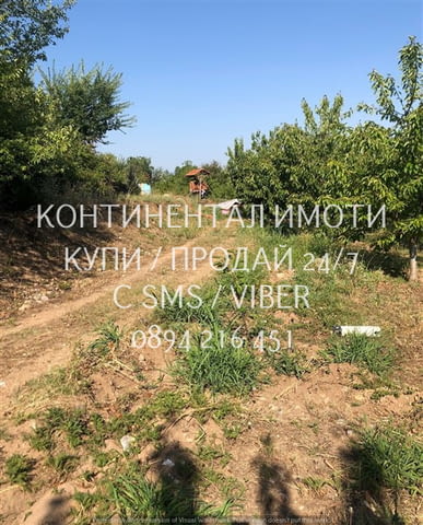 Кодл 63086. Черешова градина 4400м2 в отлично състояние, с ограда - лесен достъп на около 700м от се - снимка 6