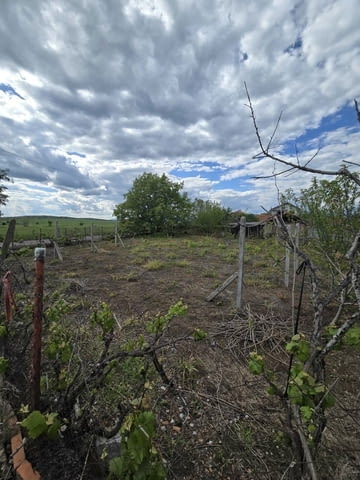 Къща в село Беловица - село Беловица | Къщи / Вили - снимка 1