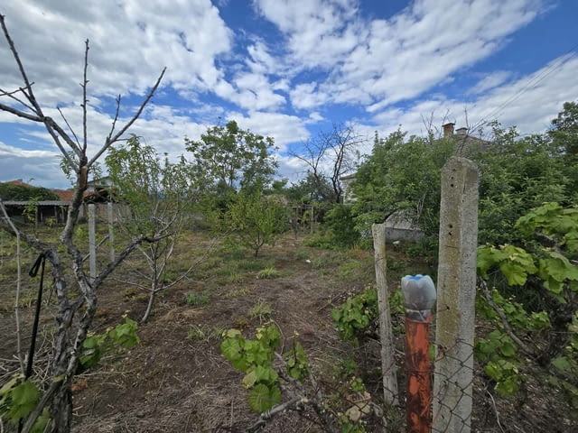 Къща в село Беловица - село Беловица | Къщи / Вили - снимка 3