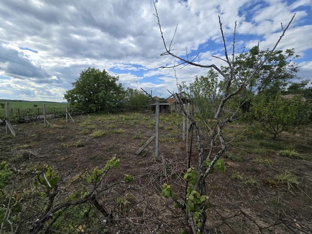 Къща в село Беловица - село Беловица | Къщи / Вили - снимка 4