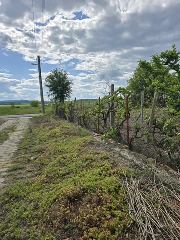 Къща в село Беловица - село Беловица | Къщи / Вили - снимка 12