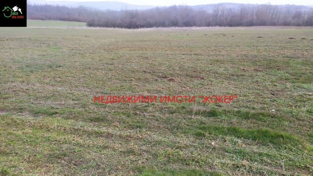 Земеделска земя -гр. Килифарево 23720 m2, Land - city of Kilifarevo | Land - снимка 2