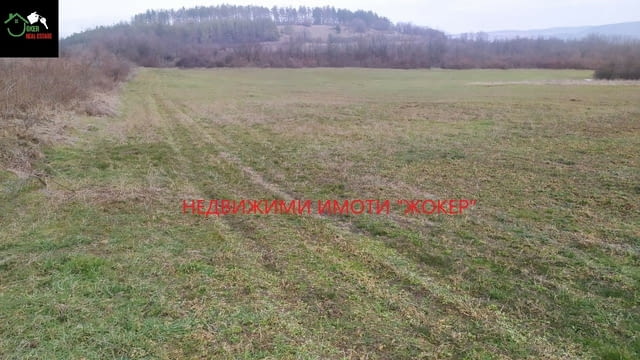 Земеделска земя -гр. Килифарево 23720 m2, Land - city of Kilifarevo | Land - снимка 4