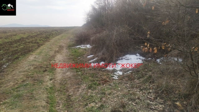 Земеделска земя -гр. Килифарево 23720 m2, Land - city of Kilifarevo | Land - снимка 6