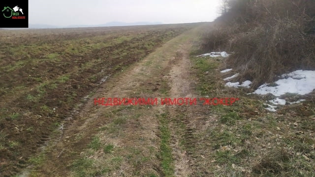 Земеделска земя -гр. Килифарево 23720 m2, Land - city of Kilifarevo | Land - снимка 7