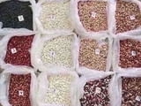 Beans Wholesale
