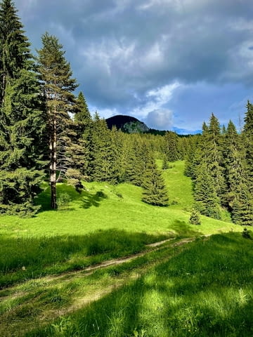 Хижа Чаирски езера, с. Мугла/с. Триград, РОДОПИТЕ 300 m2 - village Mugla | Hotels - снимка 11