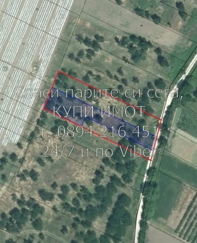 Кодг 61462. Градина 3000м2, кат 8-ма, запусната, лице на мек поддържан път, близо до р. Въча, Нотари - снимка 1