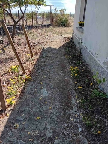 Къща/вила с. Долно Брястово, общ. Минерални бани, village Bryastovo | Houses & Villas - снимка 3