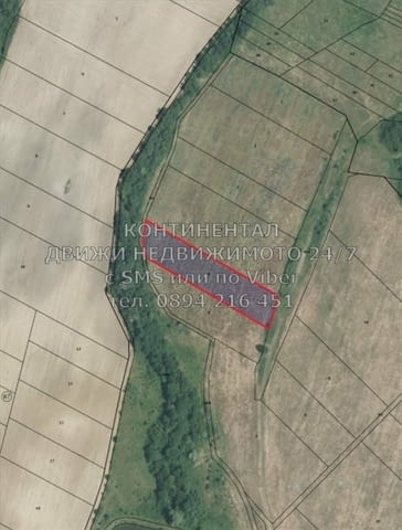 Код 62217. Два поземлени имота: 3200м2 и 6830м2 на 100 метра от асфалтов път, на разстояние 250м еди - снимка 1