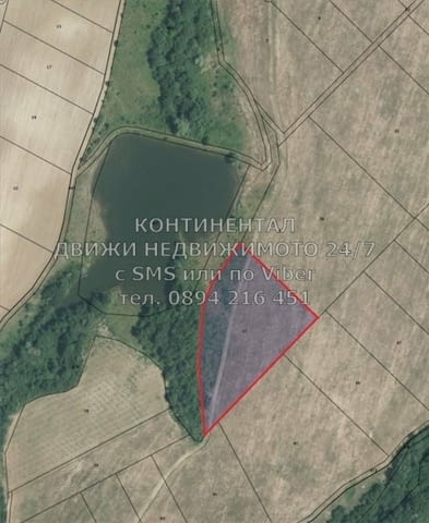 Код 62217. Два поземлени имота: 3200м2 и 6830м2 на 100 метра от асфалтов път, на разстояние 250м еди - снимка 3