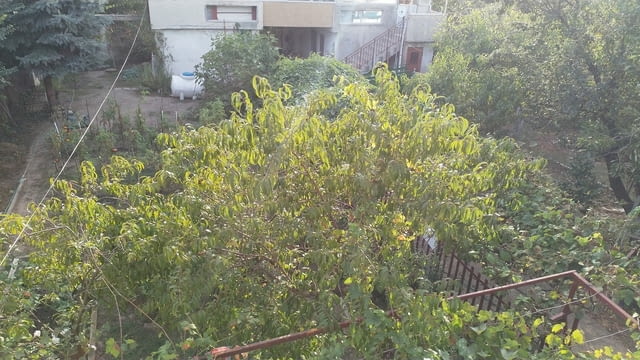 Давам под наем етаж от къща Перчемлията Друга, Тухла, 35 м2 - в.з  Перчемлията | Къщи / Вили - снимка 1