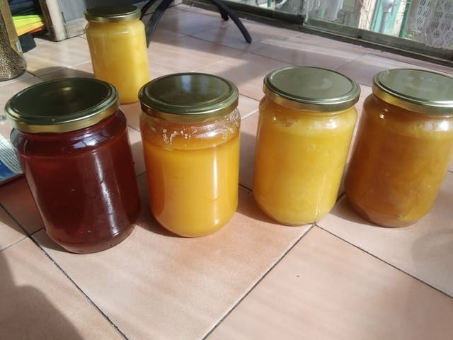 Продавам пчелен мед! - city of Varna | Goods & Produce - снимка 1