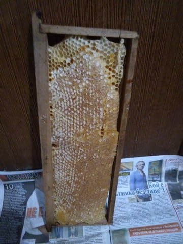 Продавам пчелен мед! - city of Varna | Goods & Produce - снимка 2