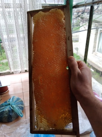 Продавам пчелен мед! - city of Varna | Goods & Produce - снимка 3