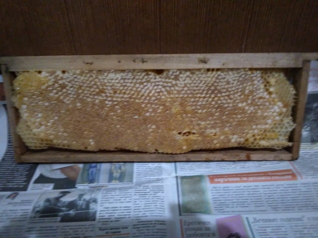 Продавам пчелен мед! - city of Varna | Goods & Produce - снимка 4