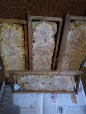 Продавам пчелен мед! - city of Varna | Goods & Produce - снимка 5