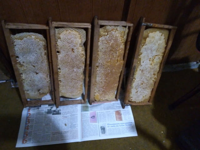 Продавам пчелен мед! - city of Varna | Goods & Produce - снимка 7