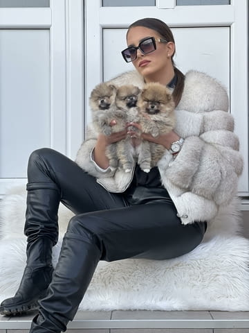 Beautiful Pomeranian puppies available Померан (Малък английски шпиц) - град Извън България | Кучета - снимка 3