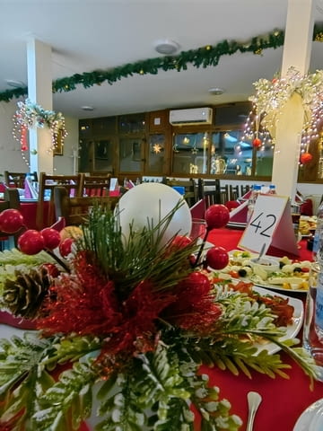 Нова година в Сърбия 3 звезди, Автобус, Басейн - град София | Екскурзии в Чужбина - снимка 1