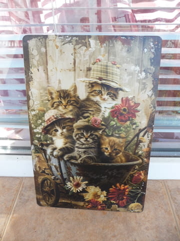 Метална табела котета котенца цветя саксия разни количка сладки сладички шапки декорация - снимка 1