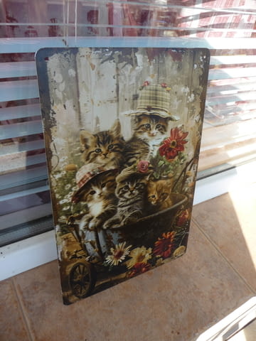 Метална табела котета котенца цветя саксия разни количка сладки сладички шапки декорация - снимка 2