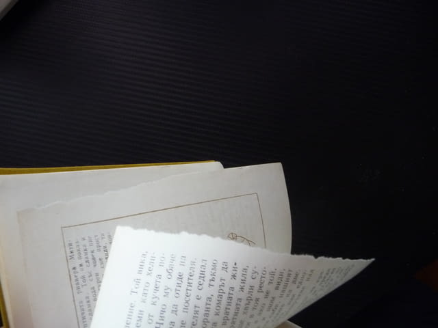 Ние, врабчетата Йордан Радичков автограф първо издание рядка, city of Radomir - снимка 3