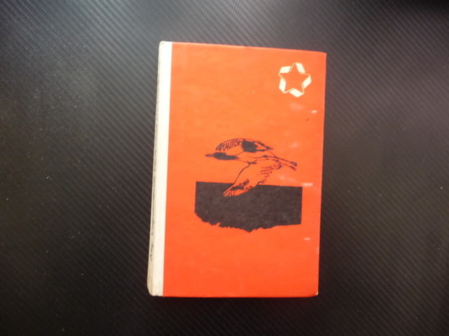 Морски напеви Абу Сарсенбаев роман морето необятно чайки гларуси - снимка 1