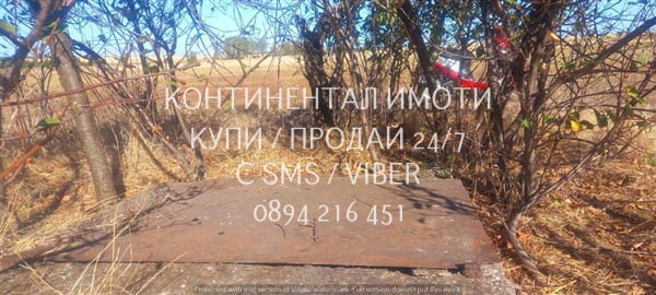 Код 63105. Нива 8000м2 на 150 м от къщите на селото с трифазен ток, път и сонда за вода с изградена - снимка 6