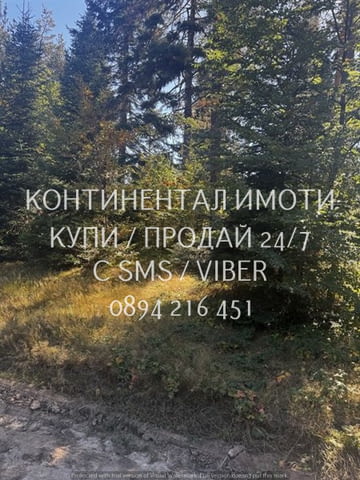 Код 63107. Голям имот 1250м2, с възможност за разделяне, в близост до хотел Вивиана, на 120 метра от - снимка 5