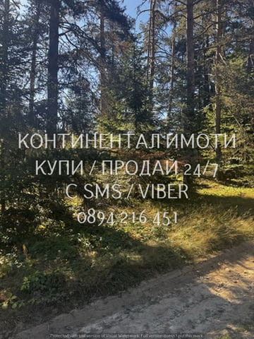 Код 63107. Голям имот 1250м2, с възможност за разделяне, в близост до хотел Вивиана, на 120 метра от - снимка 6