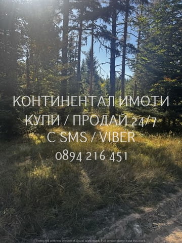 Код 63107. Голям имот 1250м2, с възможност за разделяне, в близост до хотел Вивиана, на 120 метра от - снимка 8