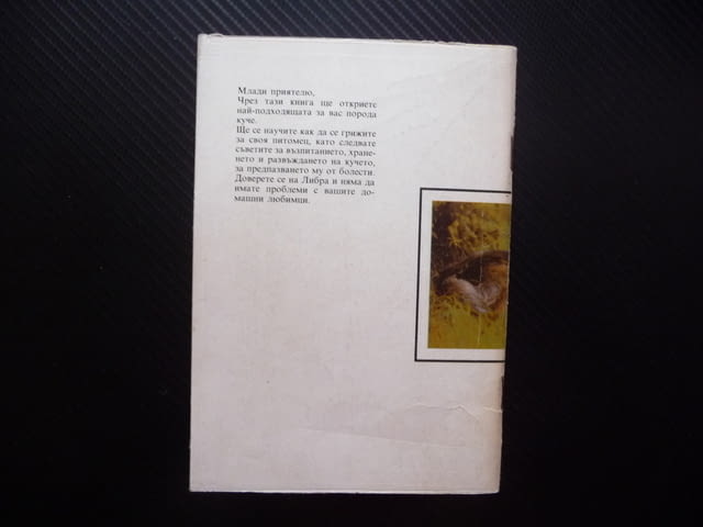Аз имам куче Радка Иванова породи хранене дресиране болести развъждане отглеждане кученца избор - снимка 3
