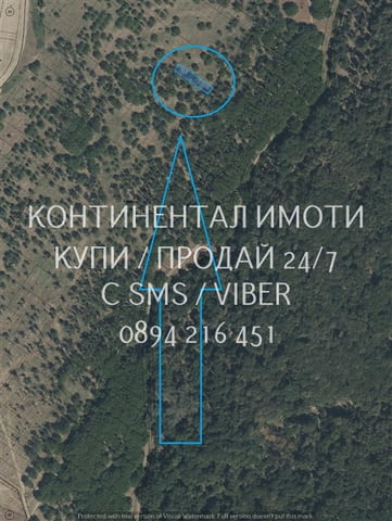 Коддд 63118. Орехи 550м2 сред голям орехов масив близо до двореца на Царя. - снимка 2