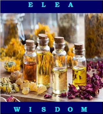 Производство на козметика под ваша марка - град София | Други