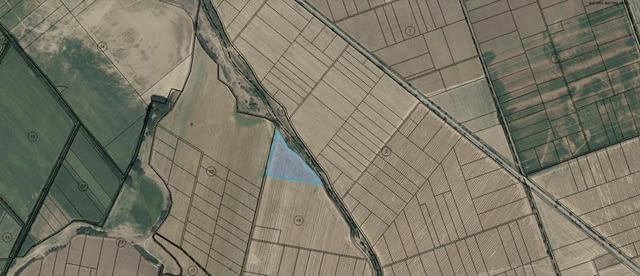 Продавам 25 дка земя в землището на с. Боянци, city of Vеliki Prеslav | Land - снимка 1