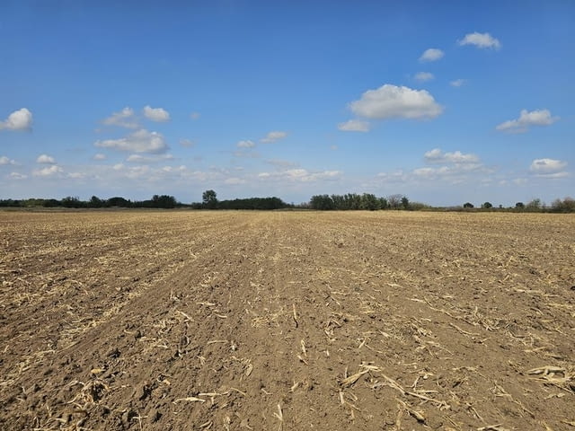 Продавам 25 дка земя в землището на с. Боянци, city of Vеliki Prеslav | Land - снимка 3