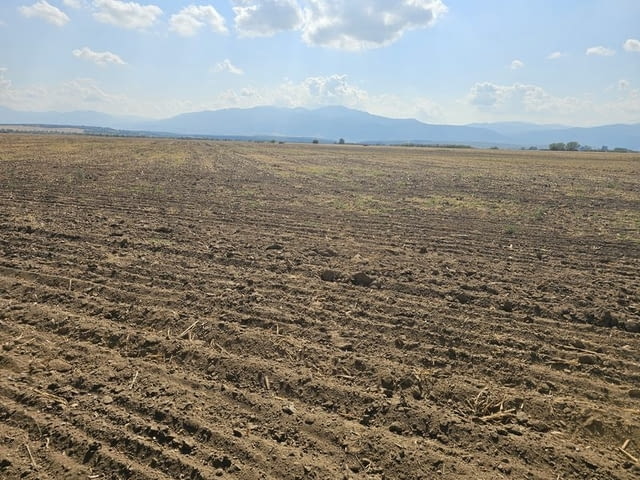 Продавам 25 дка земя в землището на с. Боянци, city of Vеliki Prеslav | Land - снимка 4