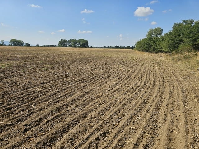 Продавам 25 дка земя в землището на с. Боянци, city of Vеliki Prеslav | Land - снимка 5