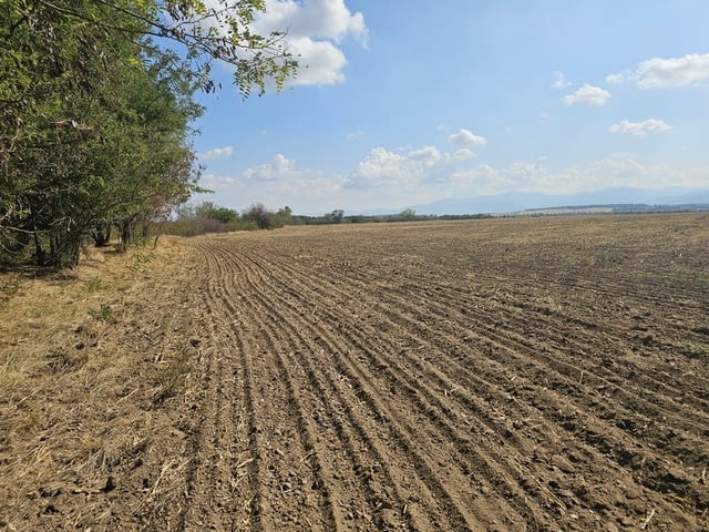 Продавам 25 дка земя в землището на с. Боянци, city of Vеliki Prеslav | Land - снимка 6