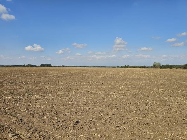 Продавам 25 дка земя в землището на с. Боянци, city of Vеliki Prеslav | Land - снимка 9