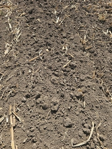 Продавам 25 дка земя в землището на с. Боянци, city of Vеliki Prеslav | Land - снимка 11