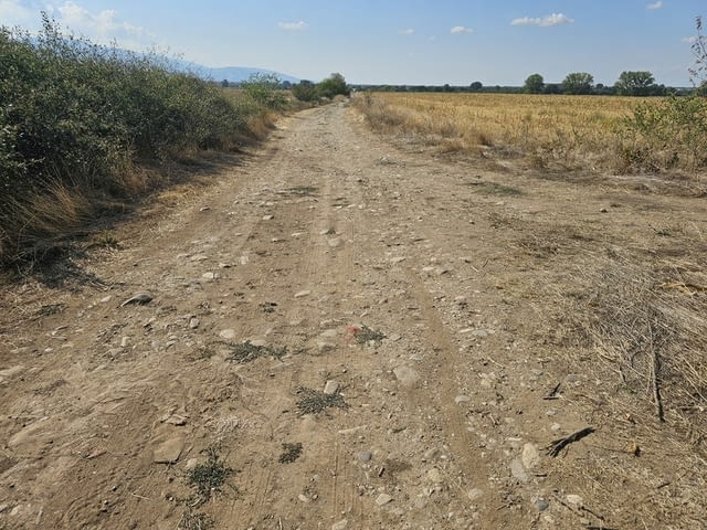 Продавам 25 дка земя в землището на с. Боянци, city of Vеliki Prеslav | Land - снимка 12