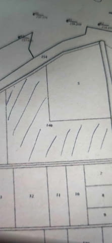 Продаваме земеделска земя в област Пазарджик 20000 m2, For industry, Land - village Lozеn | Land