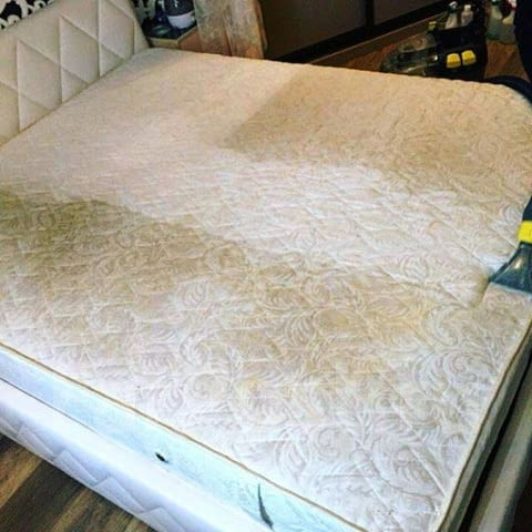 Професионално почистване. Пране на мека мебел, матраци, мокет, килими, автосалон - снимка 4