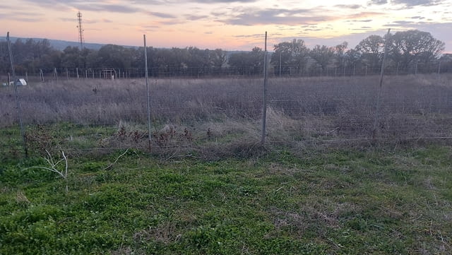 Инвестиционен парцел в с.Стойково, обл.Хасково, село Стойково | Парцели / Земя - снимка 3
