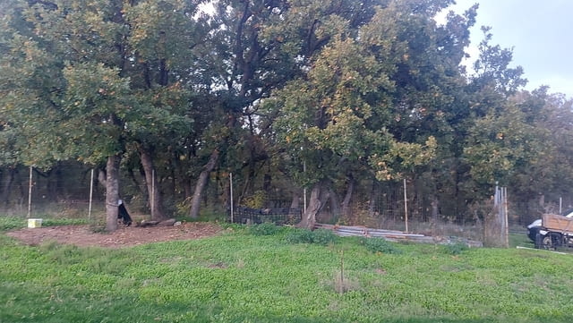 Инвестиционен парцел в с.Стойково, обл.Хасково, село Стойково | Парцели / Земя - снимка 6