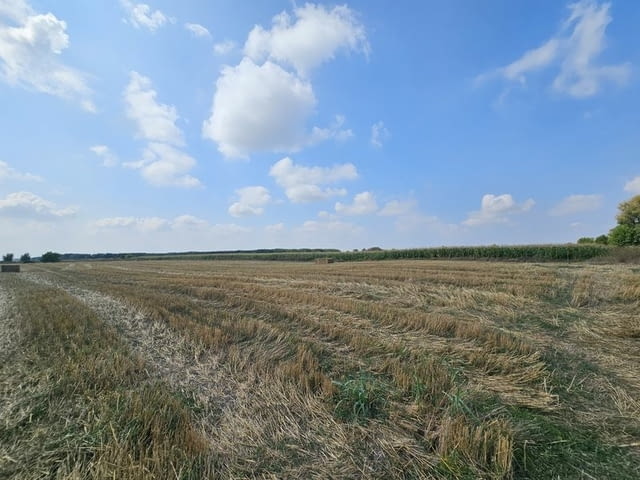 Продавам 24, 860 дка земя в землището на с. Крислово, град Велики Преслав - снимка 5