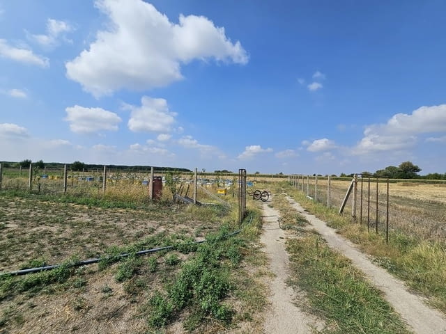 Продавам 24, 860 дка земя в землището на с. Крислово, град Велики Преслав - снимка 8