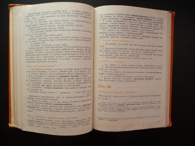 Русский язык и литературное чтение для 8. класса руски език изучаване литературно четене курс уроци - снимка 2